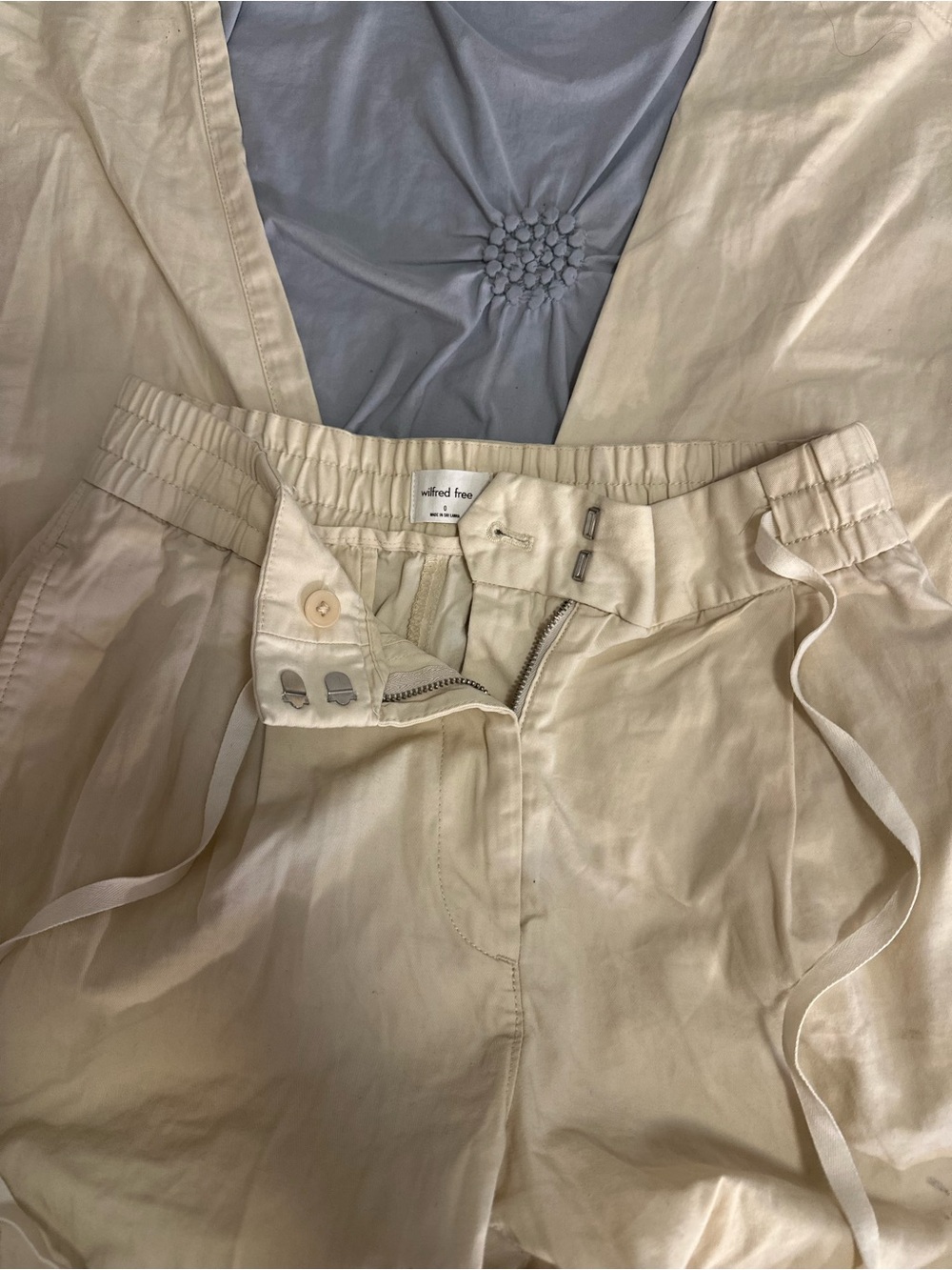 Wilfred Aritzia Cargo Pants